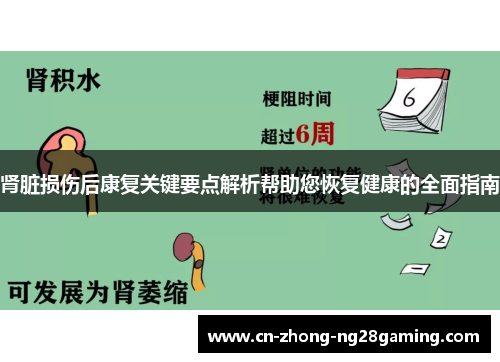 肾脏损伤后康复关键要点解析帮助您恢复健康的全面指南 肾脏损伤后康复关键要点解析帮助您恢复健康的全面指南