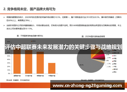 评估中超联赛未来发展潜力的关键步骤与战略规划
