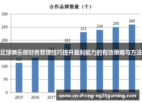 足球俱乐部财务管理技巧提升盈利能力的有效策略与方法 足球俱乐部财务管理技巧提升盈利能力的有效策略与方法