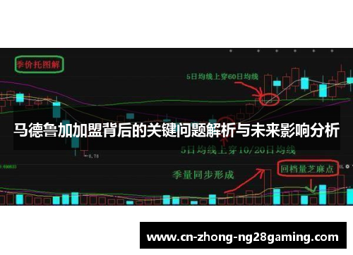马德鲁加加盟背后的关键问题解析与未来影响分析