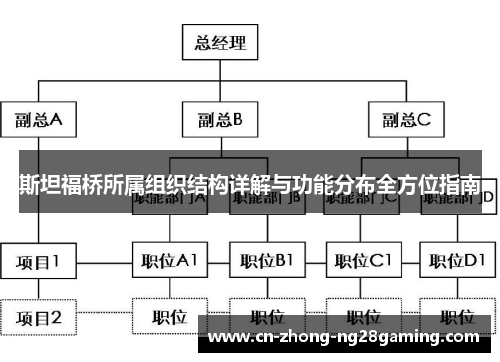 斯坦福桥所属组织结构详解与功能分布全方位指南